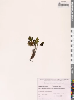 MAG 0022588