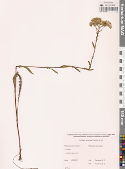 MAG 0014198