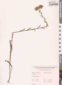 MAG 0014199