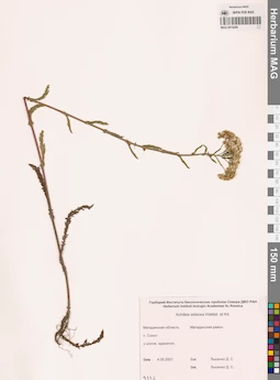 MAG 0014200