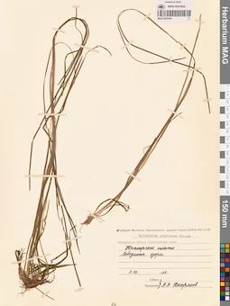 MAG 0003240
