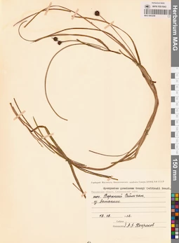 MAG 0003249