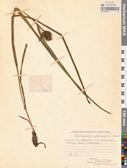 MAG 0003280