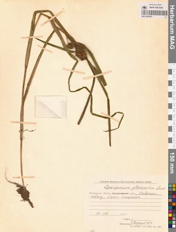 MAG 0003281
