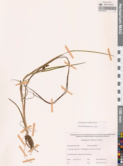 MAG 0003340