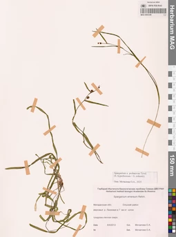 MAG 0003346