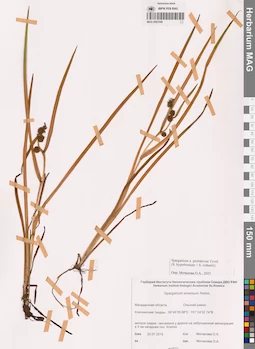 MAG 0003349
