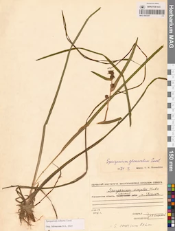 MAG 0003357