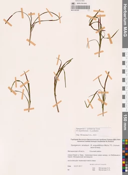 MAG 0003360