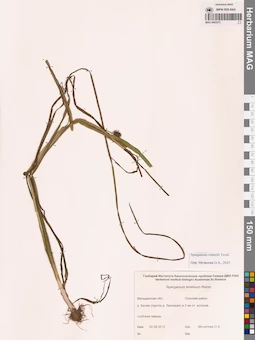 MAG 0003373