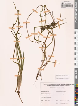 MAG 0003376