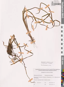 MAG 0003378