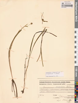 MAG 0003383
