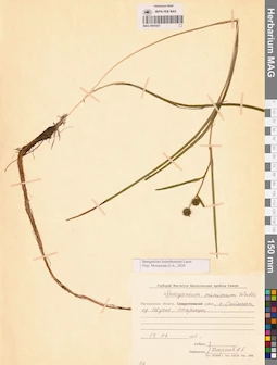 MAG 0003421