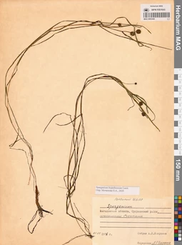 MAG 0003446