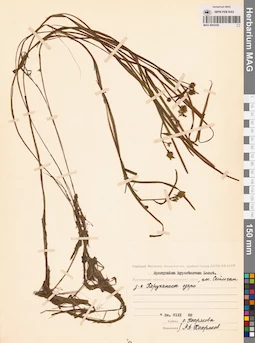MAG 0003450
