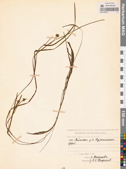 MAG 0003453