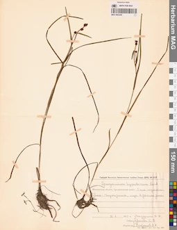 MAG 0003456