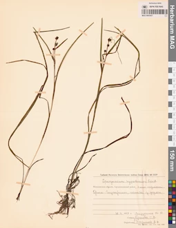 MAG 0003457