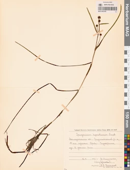 MAG 0003458