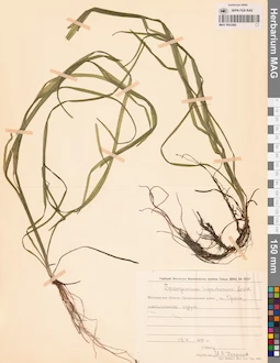 MAG 0003460
