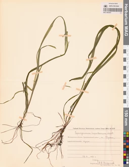MAG 0003461
