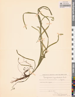 MAG 0003462