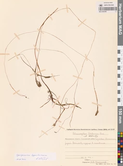 MAG 0003469