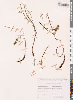 MAG 0003482