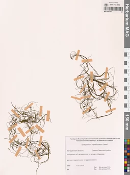 MAG 0003563