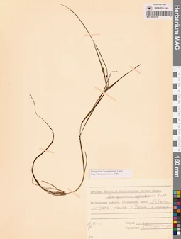 MAG 0003570