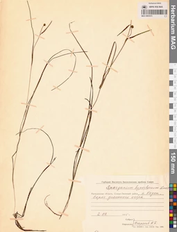 MAG 0003573