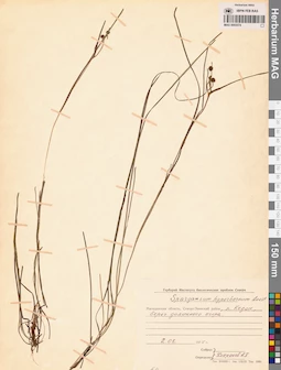 MAG 0003574