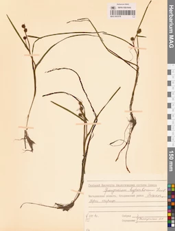 MAG 0003578