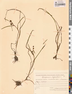 MAG 0003579