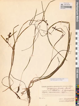 MAG 0003582