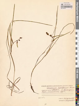 MAG 0003583