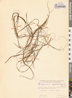 MAG 0003614