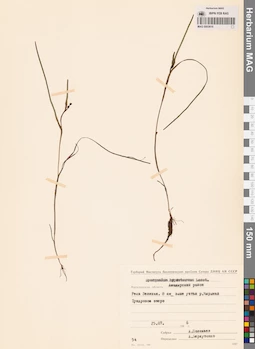 MAG 0003616