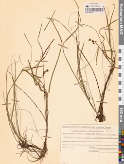 MAG 0003624