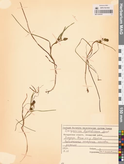 MAG 0003630