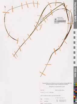 MAG 0003639