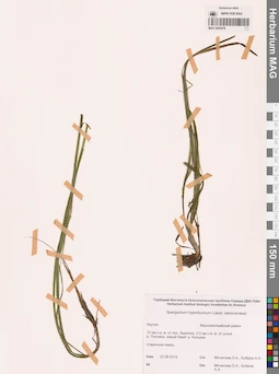 MAG 0003678