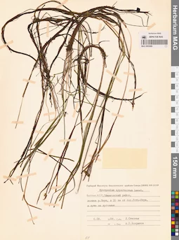 MAG 0003689