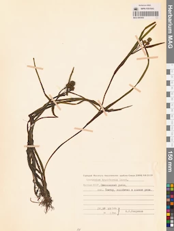MAG 0003692
