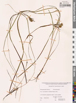 MAG 0005476