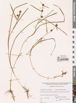 MAG 0008147