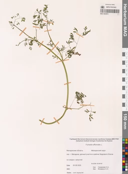 MAG 0022874