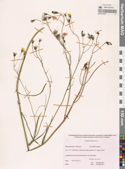 MAG 0022860