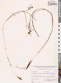 MAG 0022624